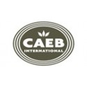 CAEB International